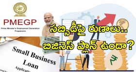 PMEGP Loan Small Entrepreneurs: చిన్న వ్యాపారులకు స్వర్ణావకాశం.. ష్యూరిటీ లేకుండానే రూ.10 లక్షల లోన్