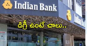 Indian Bank Jobs: ఇండియన్ బ్యాంక్‌లో ఆఫీస్ అసిస్టెంట్ జాబ్స్.. త్వరగా అప్లై చేయండి