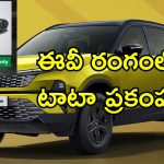 Tata EV Lifetime Warranty Battery: బ్యాటరీపై జీవితకాల వారంటీ.. ఈవి వాహనాల రంగంలో టాటా గేమ్ ఛేంజింగ్ ప్రకటన