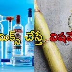 Vodka Sugarcane Juice: వోడ్కాలో చెరకు రసం కలిపి తాగుతున్నారా?.. ఈ ఆరోగ్య సమస్యలతో జాగ్రత్త
