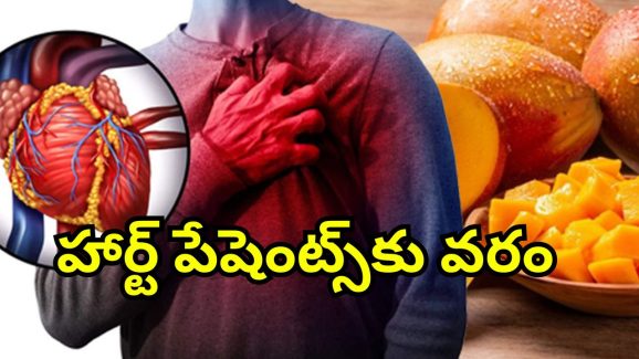 Mangoes For Heart Disease: మామిడి పళ్లతో బిపి, గుండె జబ్బులకు చెక్.. రోజూ ఎన్ని తినాలంటే?