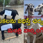 Bakrid Animal Sacrifice: బక్రీద్ వేళ జంతు వధ వద్దు.. ముస్లింలకు హిందూ మత సంస్థ అపీల్
