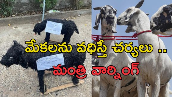 Bakrid Animal Sacrifice: బక్రీద్ వేళ జంతు వధ వద్దు.. ముస్లింలకు హిందూ మత సంస్థ అపీల్