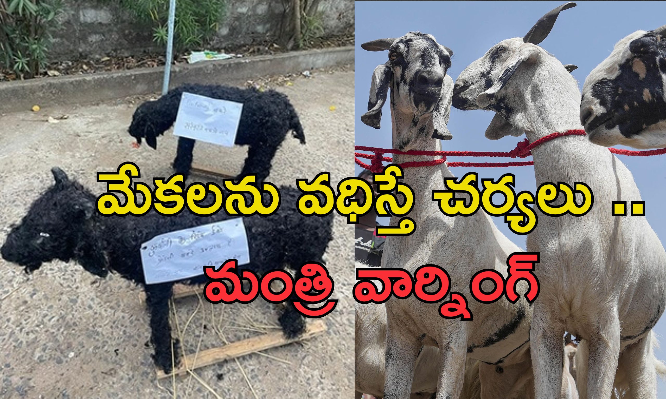 Bakrid Animal Sacrifice: బక్రీద్ వేళ జంతు వధ వద్దు.. ముస్లింలకు హిందూ మత సంస్థ అపీల్