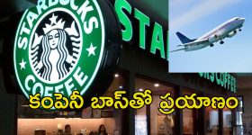 VinFast EV Car: పోటీలో ఏపీ-తెలంగాణ రాష్ట్రాలు.. విన్‌ఫాస్ట్ ప్లాంట్  ఎక్కడ పెడుతుందో?