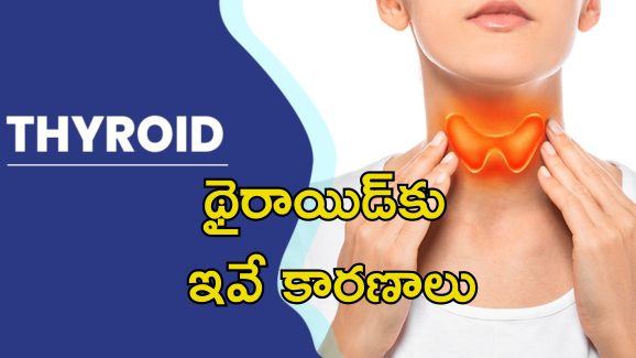 Women Thyroid Issues: మహిళల్లోనే థైరాయిడ్ సమస్య ఎక్కువ?.. జాగ్రత్తలు, చికిత్స ఇవే..