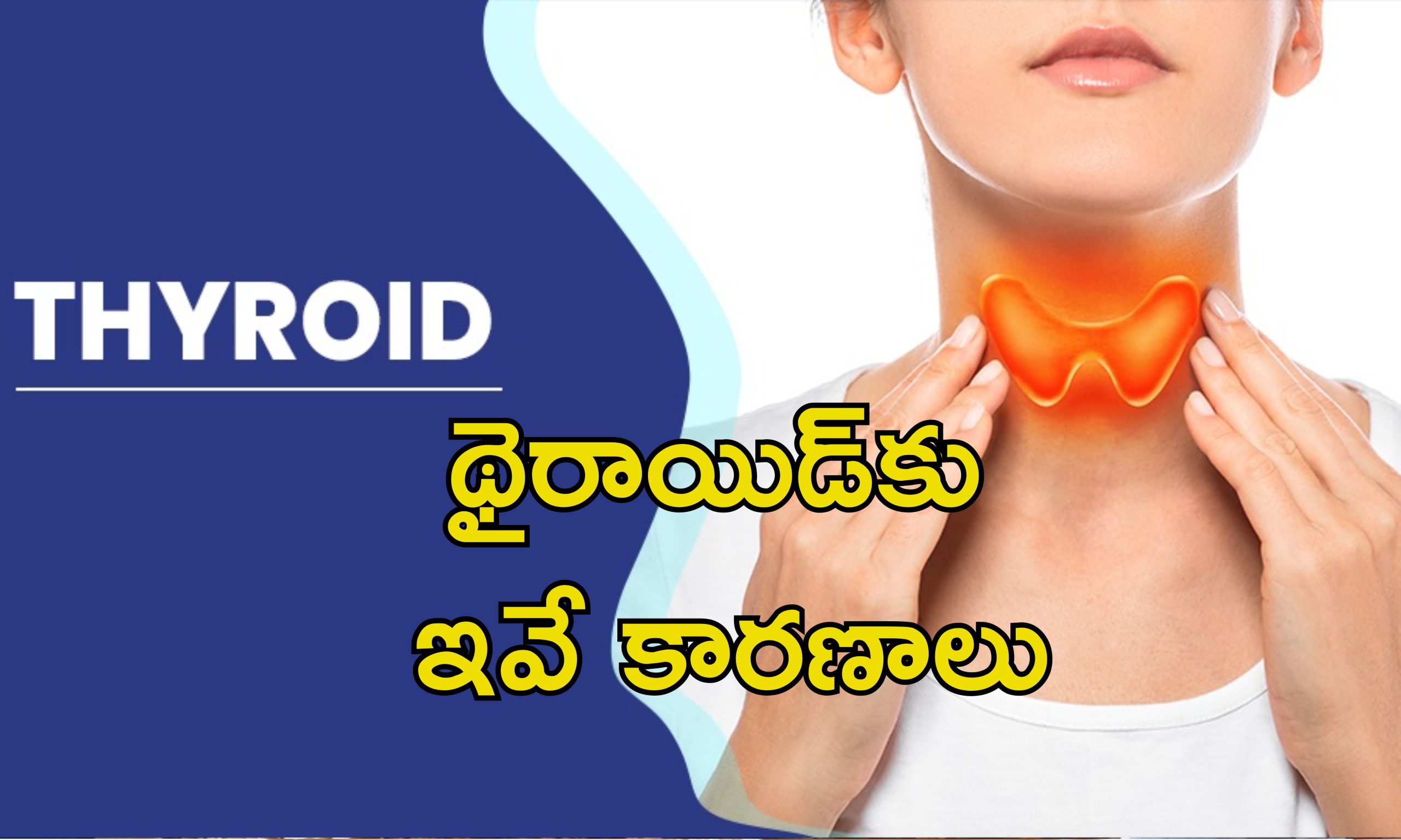 Women Thyroid Issues: మహిళల్లోనే థైరాయిడ్ సమస్య ఎక్కువ?.. జాగ్రత్తలు, చికిత్స ఇవే..