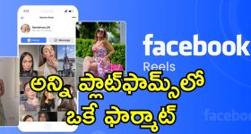 Hair Fall Control Tips: ఇవి వాడితే జుట్టు రాలడం వెంటనే ఆగిపోతుంది. తెలుసా ?