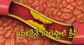 Arteries Block Ayurvedic Remedies: గుండె ధమనుల్లో పూడికలు ప్రాణాంతకం.. ఆయుర్వేద టిప్స్‌తో ఇలా క్లీన్ చేసుకోండి