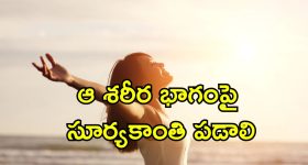 Vitamin D Sunlight: విటమిన్ డి కోసం ఎండలో ఎంతసేపు ఉండాలి.. నిపుణుల సమాధానమిదే