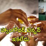 Hangover Prevention Tips: భయం లేకుండా పార్టీ ఎంజాయ్ చేయండి.. ఈ టిప్స్ పాటిస్తే నో హ్యాంగోవర్