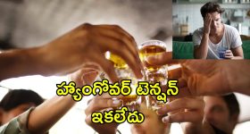 Hangover Prevention Tips: భయం లేకుండా పార్టీ ఎంజాయ్ చేయండి.. ఈ టిప్స్ పాటిస్తే నో హ్యాంగోవర్