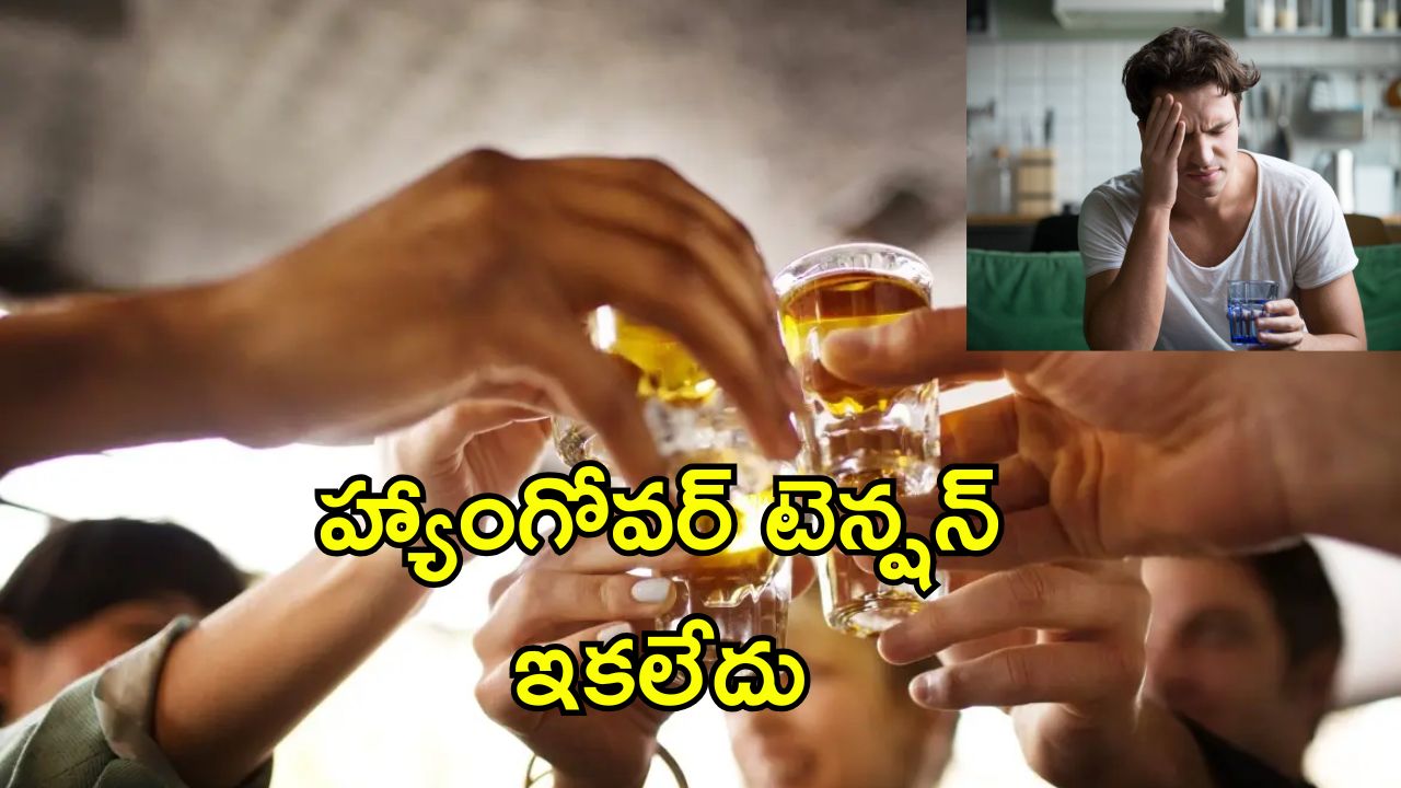 Hangover Prevention Tips: భయం లేకుండా పార్టీ ఎంజాయ్ చేయండి.. ఈ టిప్స్ పాటిస్తే నో హ్యాంగోవర్
