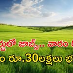 NABARD Jobs: డిగ్రీ పాసైతే చాలు.. అప్లై చేసుకోవచ్చు, జీతమైతే 30లక్షలు భయ్యా..