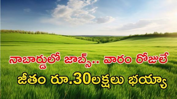 NABARD Jobs: డిగ్రీ పాసైతే చాలు.. అప్లై చేసుకోవచ్చు, జీతమైతే 30లక్షలు భయ్యా..