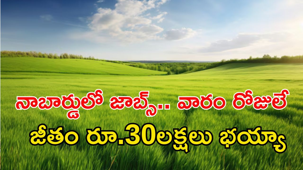 NABARD Jobs: డిగ్రీ పాసైతే చాలు.. అప్లై చేసుకోవచ్చు, జీతమైతే 30లక్షలు భయ్యా..