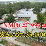 NMDC: హైదరాబాద్‌ ఎన్ఎండీసీలో భారీగా ఉద్యోగాలు.. ఇంకా 4 రోజులే సమయం