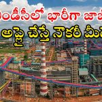 NMDC Notification: ఎన్ఎండీసీలో 995 ఉద్యోగాలు.. టెన్త్ పాసైతే చాలు భయ్యా.. జాబ్ మీదే
