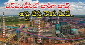 Doomsday Fish: తీరానికి కొట్టుకొస్తున్న ఆ చేపలు.. వణికిపోతున్న జనాలు, అదే జరిగితే?