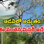 Nallamala railway history: పగలంతా నిశ్శబ్దం.. రాత్రివేళ వింత శబ్దాలు! ఈ రైల్వే వంతెన గురించి మీకు తెలుసా!