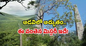 Nallamala railway history: పగలంతా నిశ్శబ్దం.. రాత్రివేళ వింత శబ్దాలు! ఈ రైల్వే వంతెన గురించి మీకు తెలుసా!