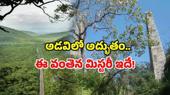 Nallamala railway history: పగలంతా నిశ్శబ్దం.. రాత్రివేళ వింత శబ్దాలు! ఈ రైల్వే వంతెన గురించి మీకు తెలుసా!