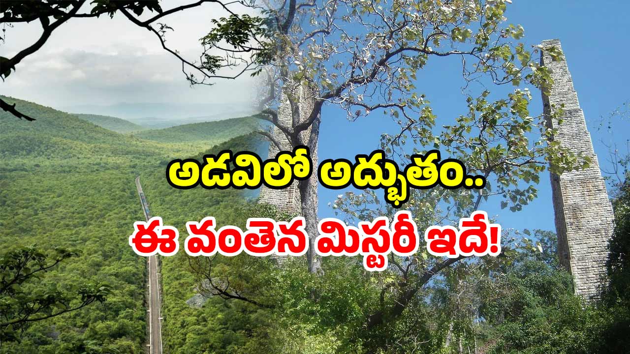 Nallamala railway history: పగలంతా నిశ్శబ్దం.. రాత్రివేళ వింత శబ్దాలు! ఈ రైల్వే వంతెన గురించి మీకు తెలుసా!