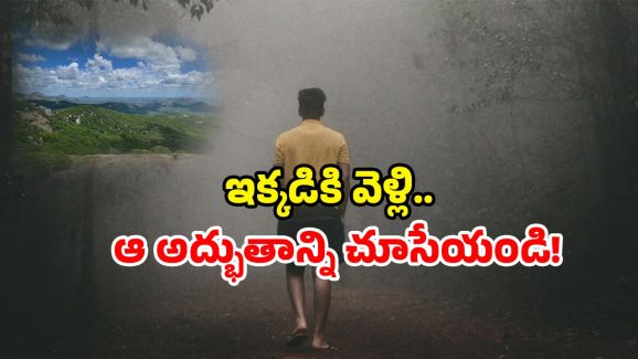 Nature Tourism: 164 ఏళ్ల జీవం.. నేటికీ ఏపీలో.. ఈ అద్భుతం మీరు చూశారా?