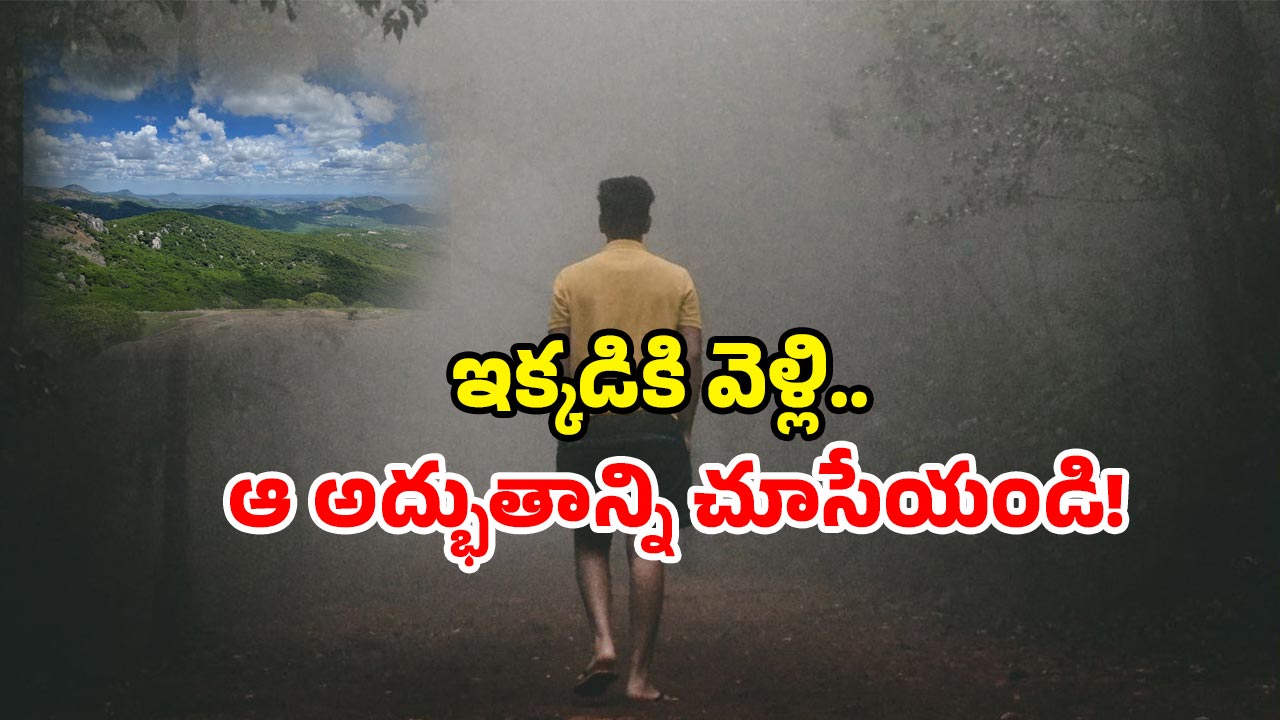 Nature Tourism: 164 ఏళ్ల జీవం.. నేటికీ ఏపీలో.. ఈ అద్భుతం మీరు చూశారా?