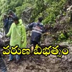 Northeastern: దంచికొడుతున్న వర్షం.. కొండచరియలు విరిగిపడి ముగ్గురు జవాన్లు మృతి