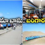 Staff Train: తమ ఉద్యోగుల కష్టాన్ని చూసి.. ఏకంగా రైలునే కొనేసిన బిజినెస్ మ్యాన్!