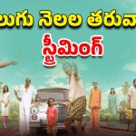 OTT Movie : ఐఎండీబీ రేటింగ్ 8.0… సైలెంట్ గా ఓటీటీలోకి అడుగు పెట్టిన మరో మలయాళ ఆణిముత్యం