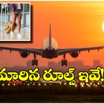 Flight Baggage Rules: ఫ్లైట్ జర్నీ చేస్తున్నారా? కొత్త రూల్స్ గురించి తెలియకపోతే బుక్కైపోతారు!