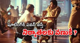 Pawan Kalyan : పవన్‌తో సినిమా అంటే భారమే… రోజుకు ఎక్స్‌ట్రా ఖర్చు ఎన్ని కోట్లు అంటే ?