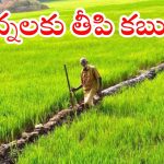 RAITHU BHAROSA: రేవంత్ సర్కార్ సంచలన నిర్ణయం.. ఎకరాలతో సంబంధం లేకుండా రైతుభరోసా నిధులు విడుదల