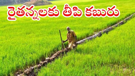 RAITHU BHAROSA: రేవంత్ సర్కార్ సంచలన నిర్ణయం.. ఎకరాలతో సంబంధం లేకుండా రైతుభరోసా నిధులు విడుదల