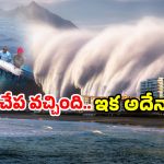 Doomsday Fish: తీరానికి కొట్టుకొస్తున్న ఆ చేపలు.. వణికిపోతున్న జనాలు, అదే జరిగితే?