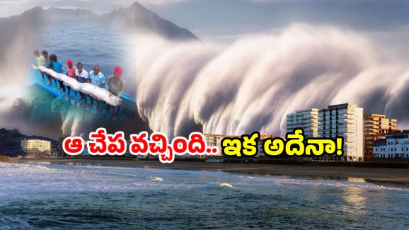 Doomsday Fish: తీరానికి కొట్టుకొస్తున్న ఆ చేపలు.. వణికిపోతున్న జనాలు, అదే జరిగితే?