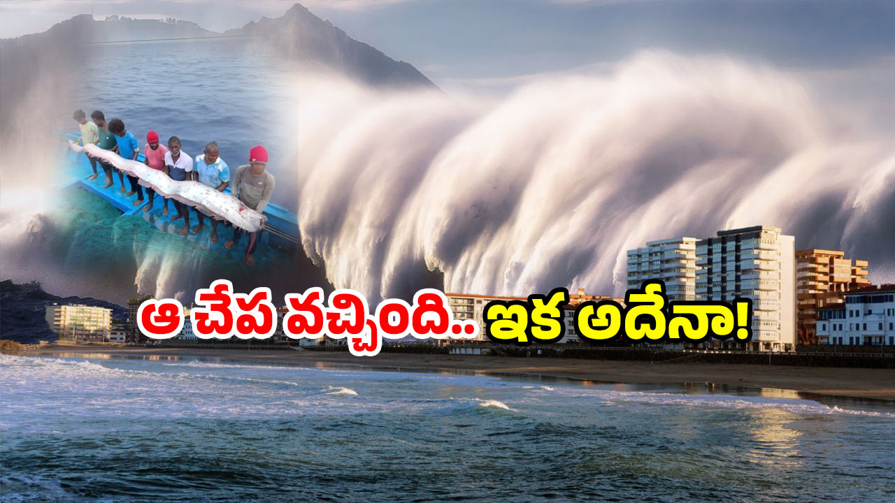 Doomsday Fish: తీరానికి కొట్టుకొస్తున్న ఆ చేపలు.. వణికిపోతున్న జనాలు, అదే జరిగితే?