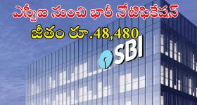 Face Scrub: ఈ ఫేస్ స్క్రబ్ వాడితే.. ముఖంపై  జిడ్డు మాయం