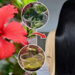 Hibiscus Flower For Hair: మందార పూలను ఇలా వాడితే.. జుట్టు జెట్ స్పీడ్‌లో పెరుగుతుంది