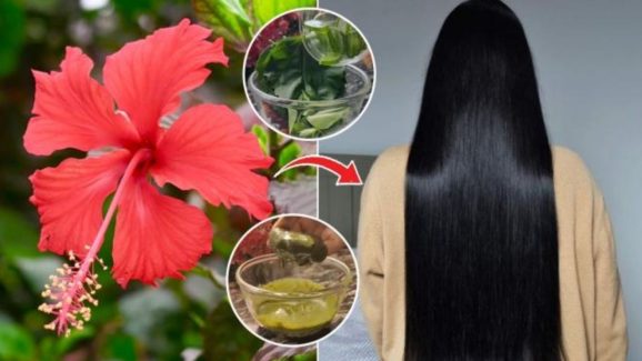 Hibiscus Flower For Hair: మందార పూలను ఇలా వాడితే.. జుట్టు జెట్ స్పీడ్‌లో పెరుగుతుంది