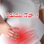 Back Pain: నడుము నొప్పితో ఇబ్బంది పడుతున్నారా ? ఈ టిప్స్ మీ కోసమే