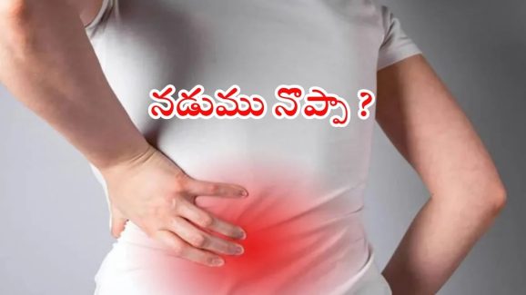 Back Pain: నడుము నొప్పితో ఇబ్బంది పడుతున్నారా ? ఈ టిప్స్ మీ కోసమే