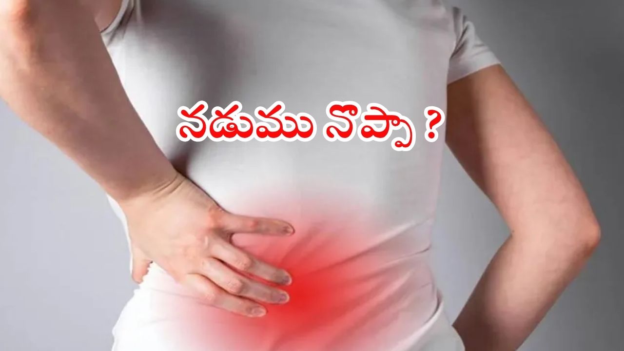 Back Pain: నడుము నొప్పితో ఇబ్బంది పడుతున్నారా ? ఈ టిప్స్ మీ కోసమే
