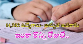 OTT Movie : ఆ ఐలాండ్ లో 500 మంది మాత్రమే... బిడ్డ పుడితే బలిదానమే