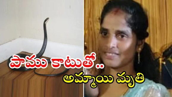 Snake Bite: పాము కాటుతో అమ్మాయి మృతి.. మరో ఇద్దరి పరిస్థితి విషమం