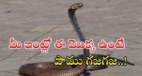 Iran Israel War: ఇరాన్- ఇజ్రాయెల్ వార్.. వామ్మో ఈ వస్తువులు మనం కొనలేమా?