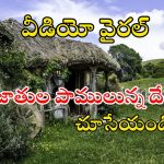 Snake News: పాములు లేని బ్యూటిఫుల్ దేశం ఏదో తెల్సా.. ఇదిగో వీడియో చూడండి..