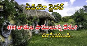 Garlic Disadvantages: వెల్లుల్లి తినడం వల్ల కలిగే నష్టాలివే !